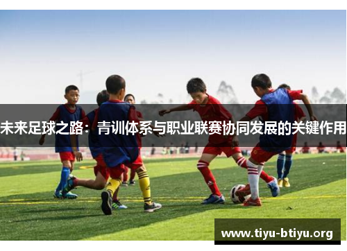 未来足球之路:青训体系与职业联赛协同发展的关键作用 未来足球之路:青训体系与职业联赛协同发展的关键作用