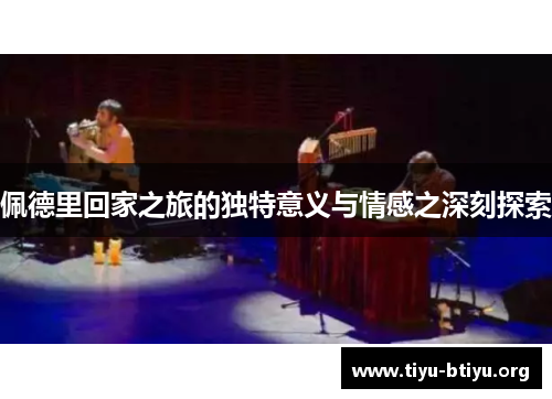 佩德里回家之旅的独特意义与情感之深刻探索 佩德里回家之旅的独特意义与情感之深刻探索