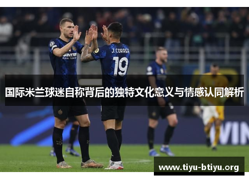 国际米兰球迷自称背后的独特文化意义与情感认同解析 国际米兰球迷自称背后的独特文化意义与情感认同解析