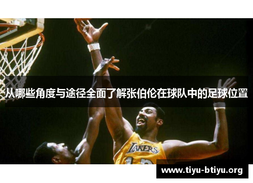 从哪些角度与途径全面了解张伯伦在球队中的足球位置