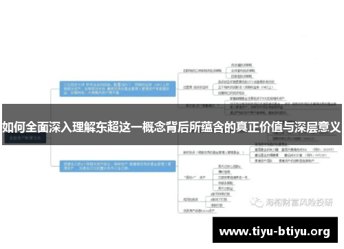 如何全面深入理解东超这一概念背后所蕴含的真正价值与深层意义 如何全面深入理解东超这一概念背后所蕴含的真正价值与深层意义